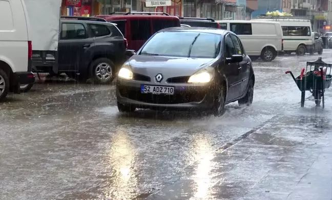 Kars'ın Sarıkamış ilçesinde sağanak yağış etkili oldu