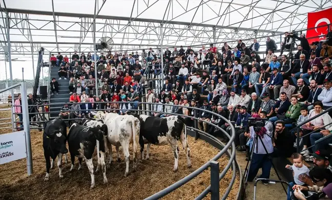 Adana'da Genç ve Kadın Üreticilere Yem Desteği Sağlayan Mezat Düzenlendi