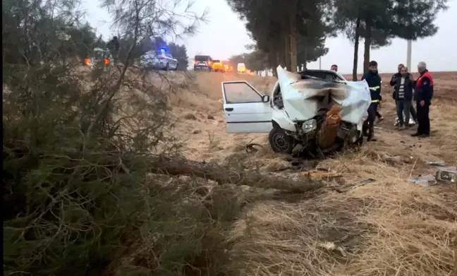 Şanlıurfa'da Otomobilin Ağaca Çarpması Sonucu 4 Yaralı