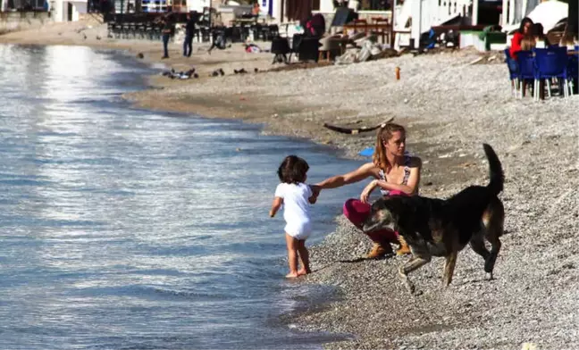 Bodrum Ocak Ayında Yazı Yaşıyor
