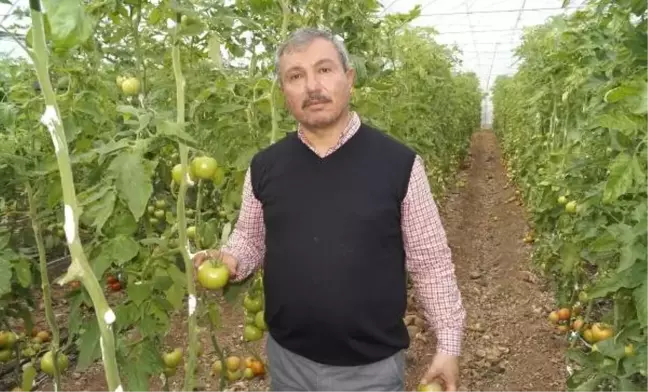 Halci ve Üretici Yüksek Maliyet ve Vergilerden Yakındı