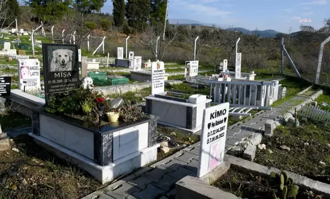 Kuşadası'nda Hayvan Mezarlığına Bin 273 Evcil Hayvan Defnedildi