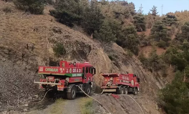 Çorum'un Kargı ilçesinde ormanlık alanda yangın çıktı