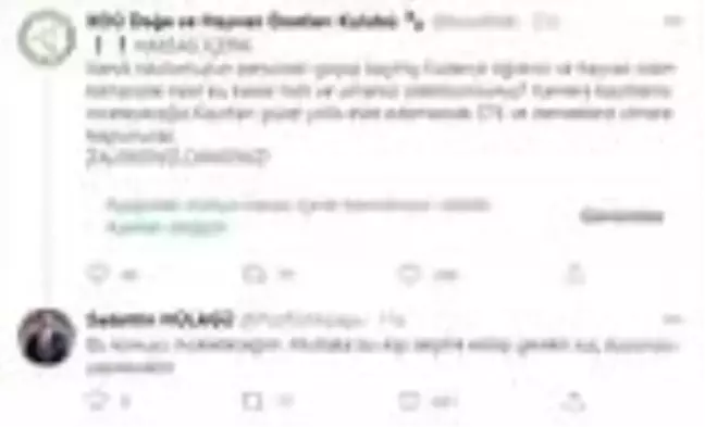 Üniversite personelinin aracıyla ezdiği iddia edilen köpeğin ölümüne öğrencilerden tepki