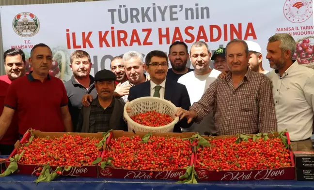 Manisa'da sezonun ilk kirazı için sembolik açık artırma