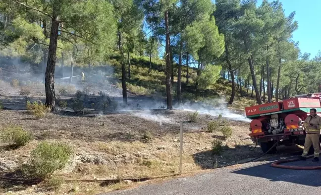 Mersin'de Orman Yangını Kısa Sürede Kontrol Altına Alındı