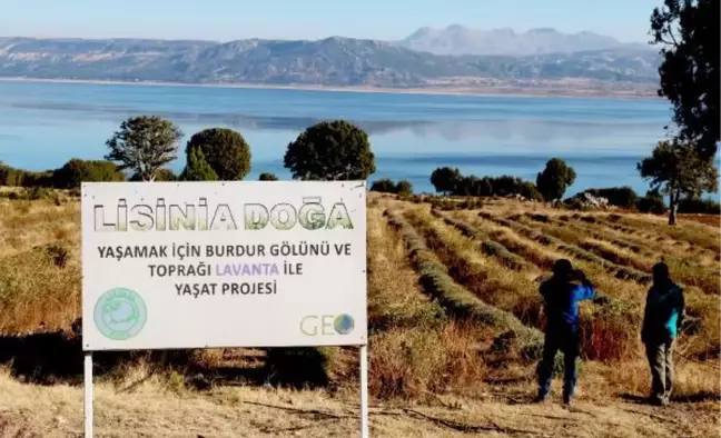 Lavanta Deresi Projesi, Türkiye ve Dünyaya Örnek Oldu