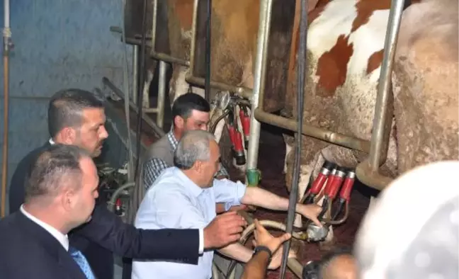 Bakan Fakıbaba: Kurban Fiyatlarının Geçen Senenin Üzerinde Olacağını Düşünmüyorum (5)