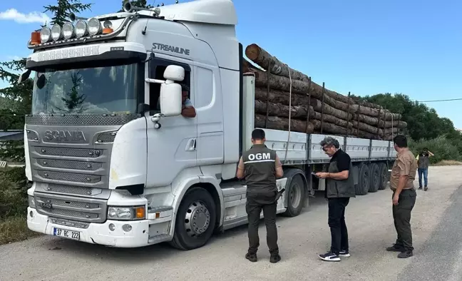 Bartın'da Orman Ürünleri Taşıyan Araçlara Denetim