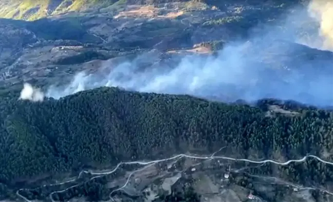 Muğla Dalaman'da Orman Yangını: Ekipler Müdahaleye Devam Ediyor