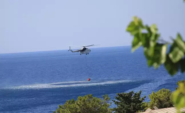 Mersin Aydıncık'taki orman yangını kontrol altına alındı