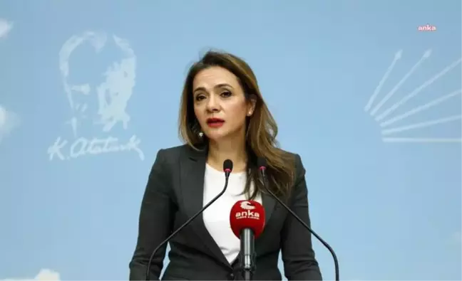 Gamze Akkuş İlgezdi: