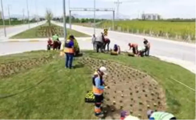 Karaman'da kavşaklar çiçeklerle donatıldı