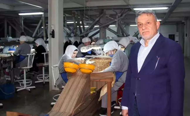 TMO'nun fındık satış kararı serbest piyasa fiyatlarını sağlamlaştırdı