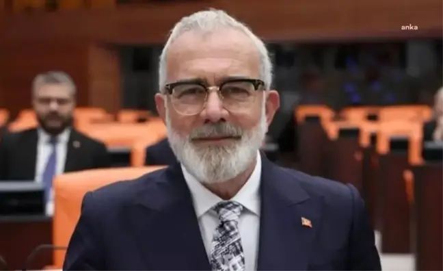 AKP, sokak hayvanlarının uyutulmasıyla ilgili yasal düzenleme hazırlığı yapıyor