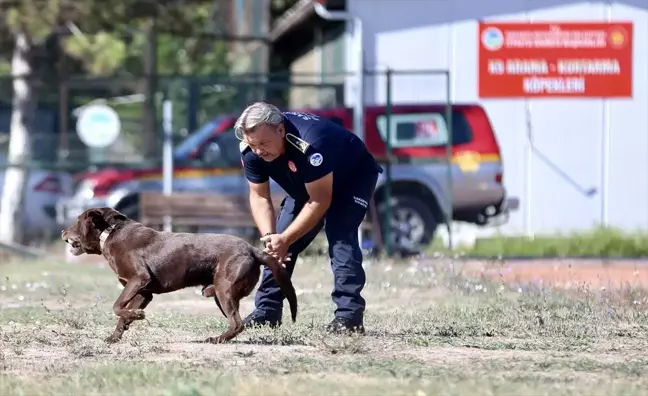 Depremde enkaz altından çıkan itfaiyeci, arama kurtarma köpekleriyle afetzedelere yardım ediyor