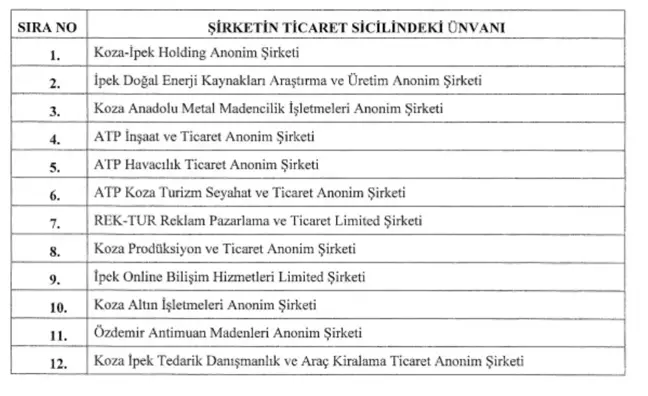 HAZİNE'ye ait 12 şirketin hisseleri Türkiye Varlık Fonu'na aktarılıyor