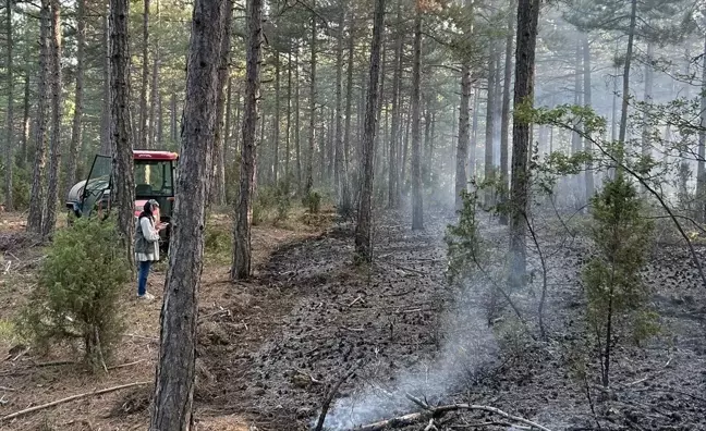 Kütahya'da Yıldırım Kaynaklı Orman Yangınları Söndürüldü