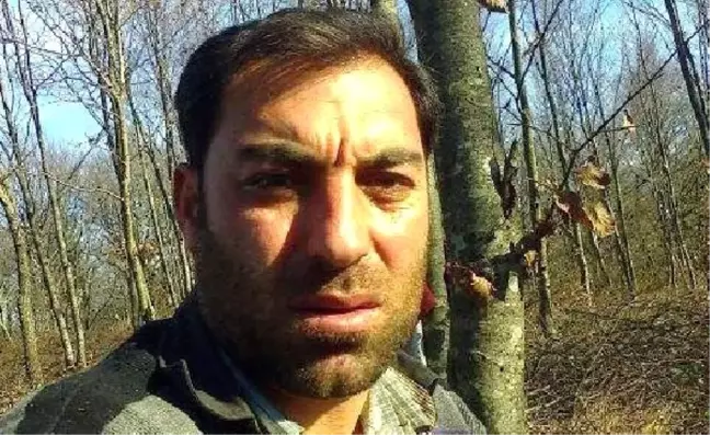 Traktörden Düşen Tomrukların Altında Kalan İşçi Öldü
