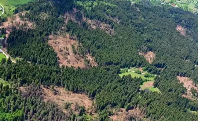 Çorum'da Ormanlara Girişler Yasaklandı