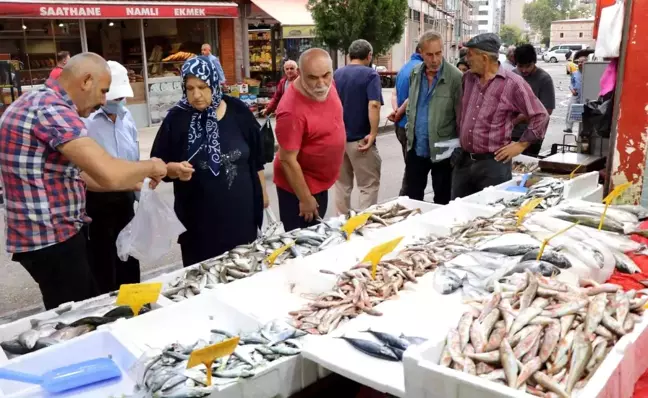 Çinakop tezgahlarda, gözler hala palamutta