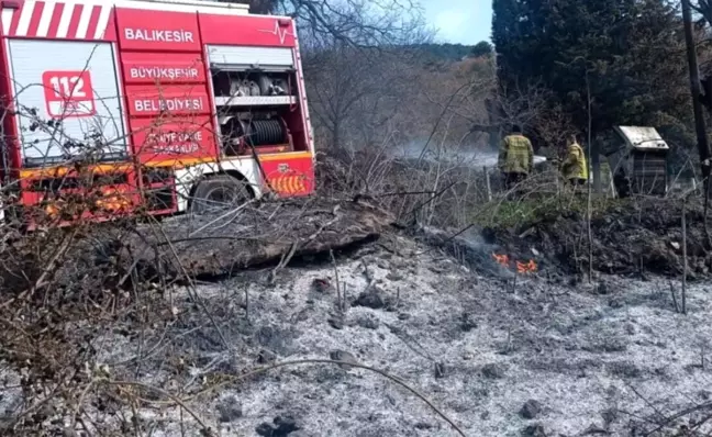 Balıkesir'in Piyade Mahallesi'nde Arazi Yangını