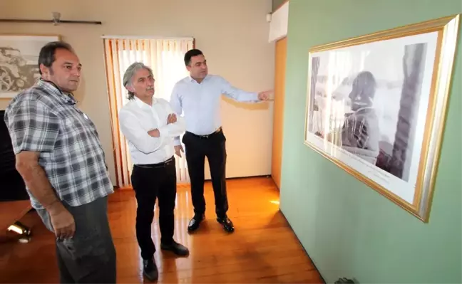 Yüreğir Kaymakamı Genel: