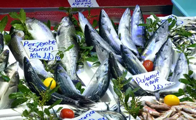 Ordu'da palamut 40 lira