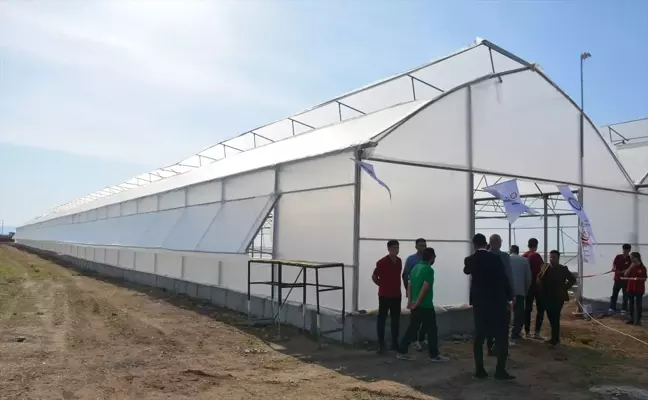 Şırnak'ta Mesleki ve Teknik Anadolu Lisesi'nde domates serası kuruldu