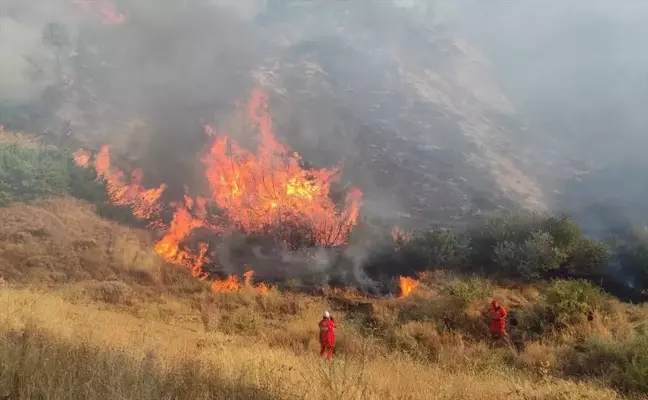 Bingöl'ün Genç ilçesinde çıkan orman yangını söndürüldü