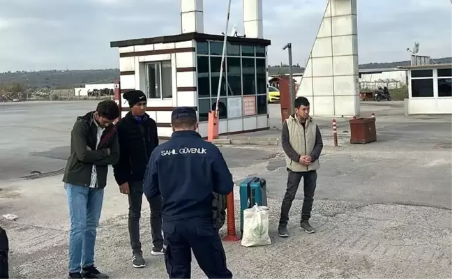 Ayvalık'ta 3 Düzensiz Göçmen Yakalandı