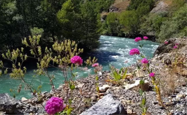 Tunceli Barosu'ndan Munzur Vadisi'nde Acele Kamulaştırmaya Tepki
