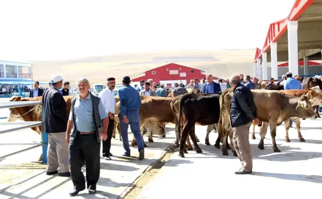 Başkan Akpunar: