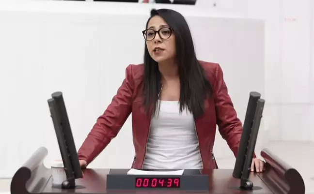 Sera Kadıgil'den Bakan Koca'ya: