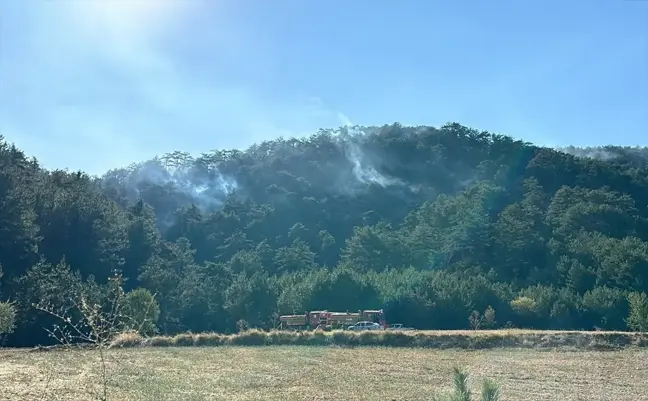 Bolu'daki Orman Yangını Bölge Halkı Tarafından Merakla İzleniyor