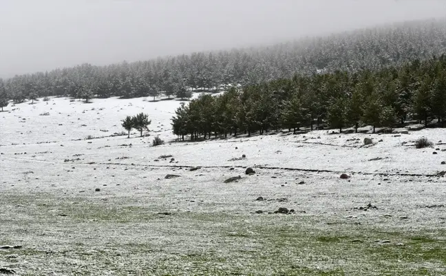 Kars'ın Sarıkamış İlçesinde Kar Yağışı Doğayı Beyaz Örtüyle Kapladı