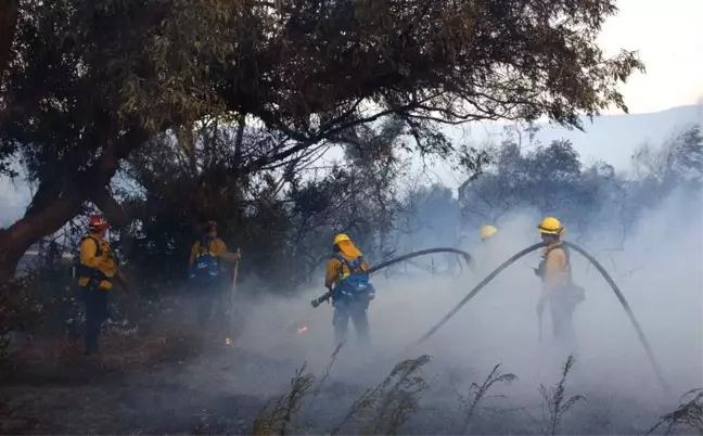 ABD'de Yangın: 10 Ölü