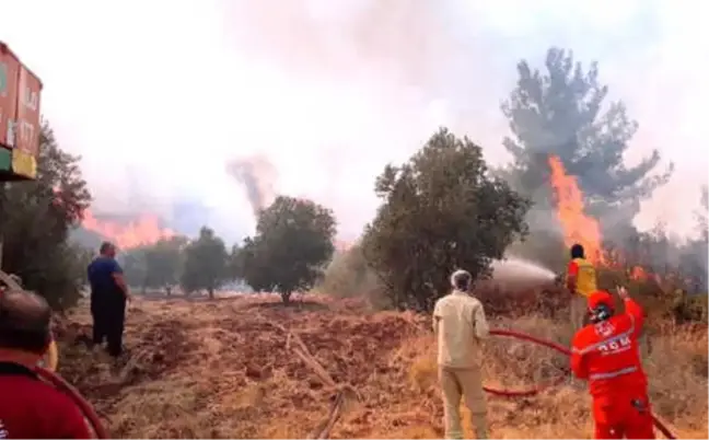 Hatay'da 4 Farklı Noktada Orman Yangını