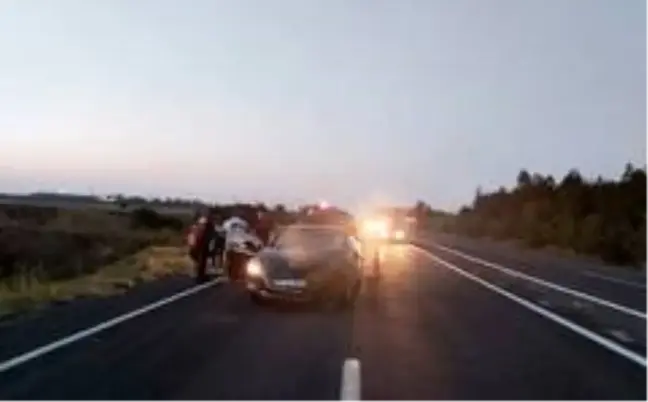 Trafik levhasına çarptı
