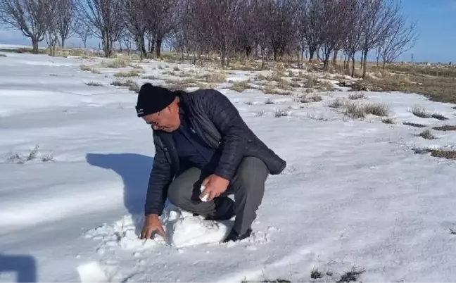 Aksaraylı çiftçilerin 'kar' sevinci