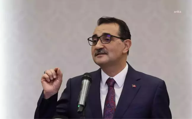 Enerji Bakanı'ndan Zeytinlik Yönetmeliği Yanıtı: