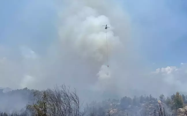 Antalya'da orman yangını kontrol altına alındı