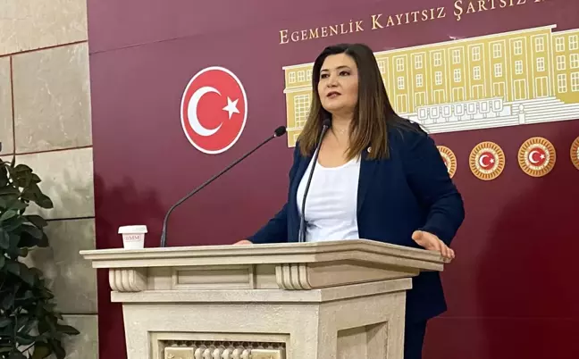 İYİ Parti Milletvekili: Çocukların korunması için devlet test yapmalı