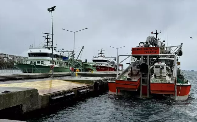 Karadeniz'de Kötü Hava Koşulları Balıkçılığı Vurdu