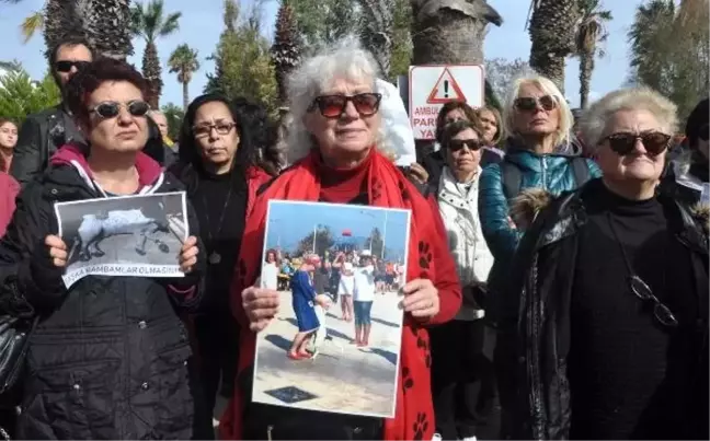 Datça'da 3 Köpeğin Zehirlenerek Öldürülmesi Protesto Edildi