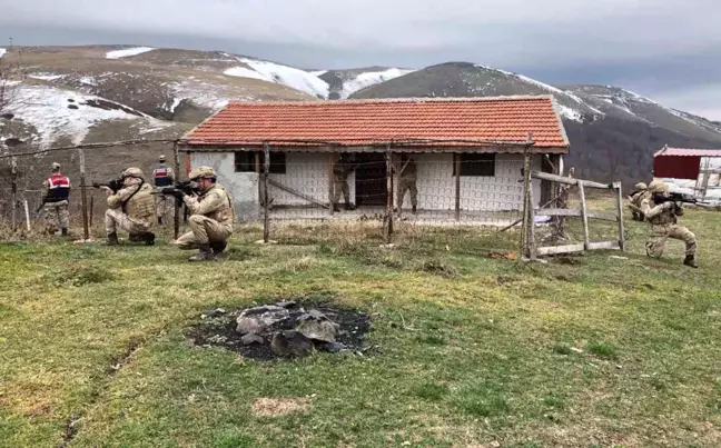 Amasya'da jandarma komandoları yaylalarda operasyon yaptı