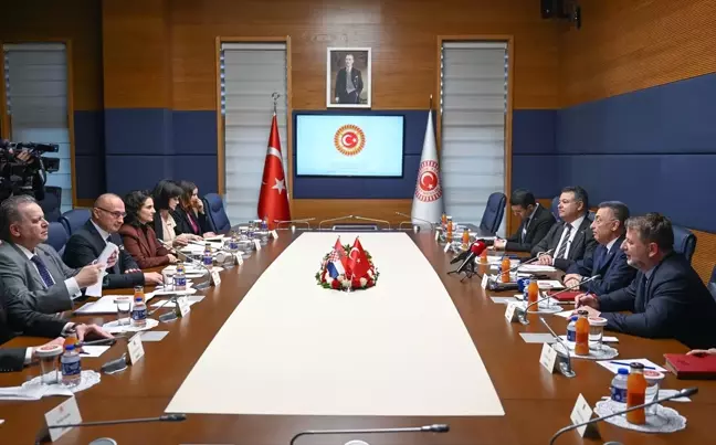 TBMM Dışişleri Komisyonu Başkanı Fuat Oktay, Hırvatistan Dış ve Avrupa İşleri Bakanı Gordan Grlic Radman ile görüştü