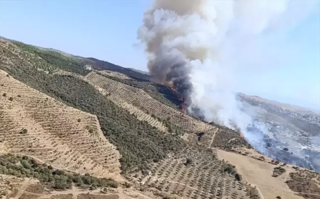 İzmir Urla'da Makilik Alanda Yangın Çıktı