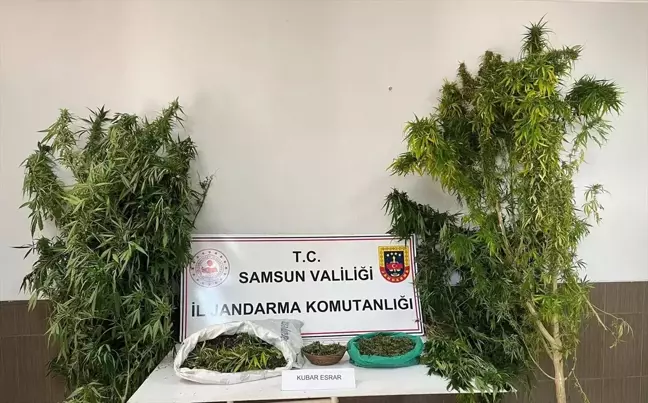 Samsun'da Uyuşturucu Operasyonu: 3 Kilo Esrar Ele Ge geçirildi