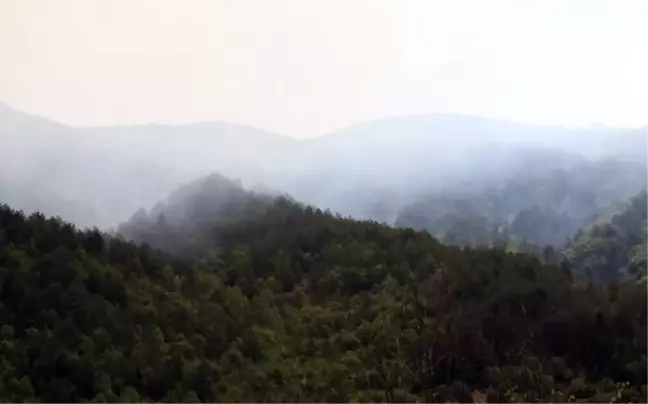 KASTAMONU YANGIN SON DAKİKA! Kastamonu orman yangını söndürüldü mü, son durum nedir? Kastamonu'da orman yangını nerede çıktı?